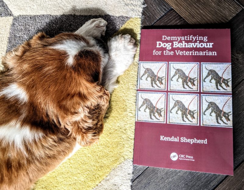 Demystifying Dog Behaviour with Kendal Shepherd – Alice Oven: Animal Welfare  & Ethics